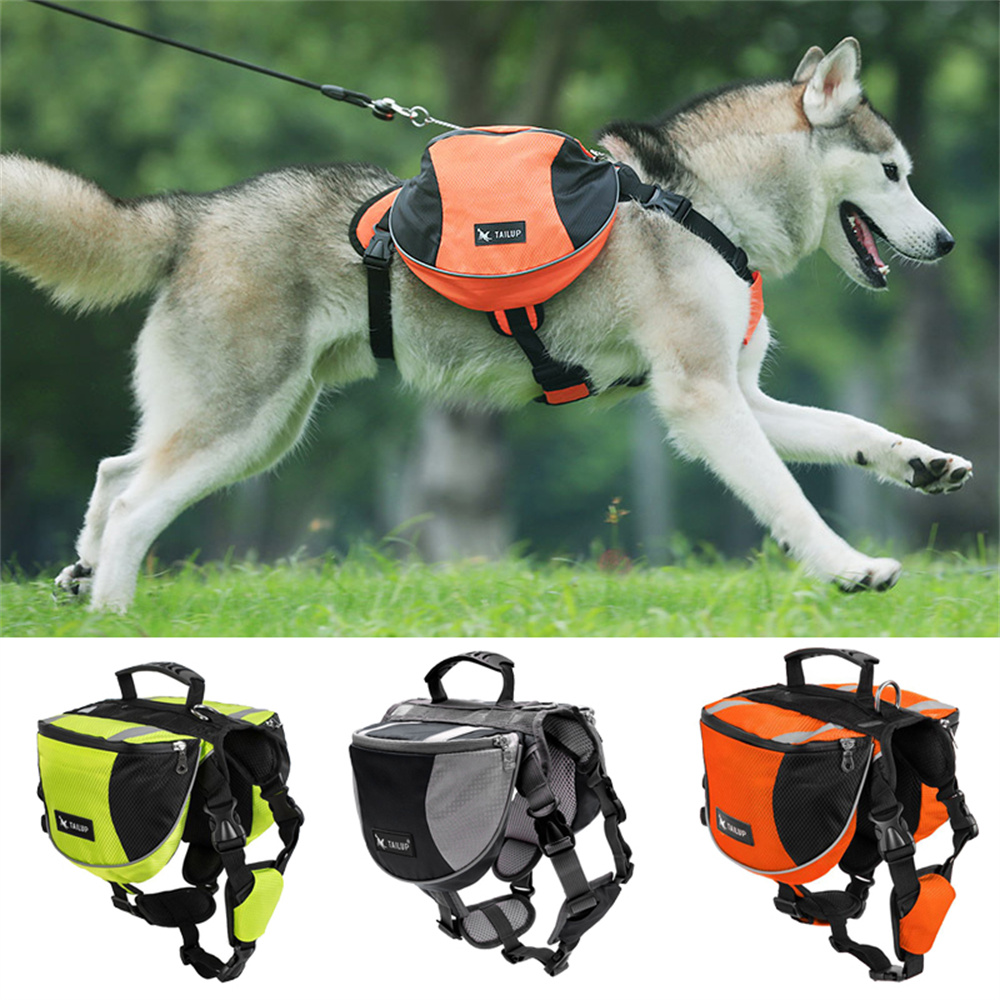 Dog Weight Training Backpack H - đánh giá và giá Crossfit Weight Vest