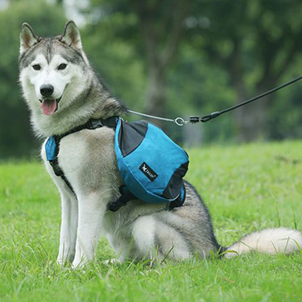 Dog Weight Training Backpack H - đánh giá và giá Crossfit Weight Vest